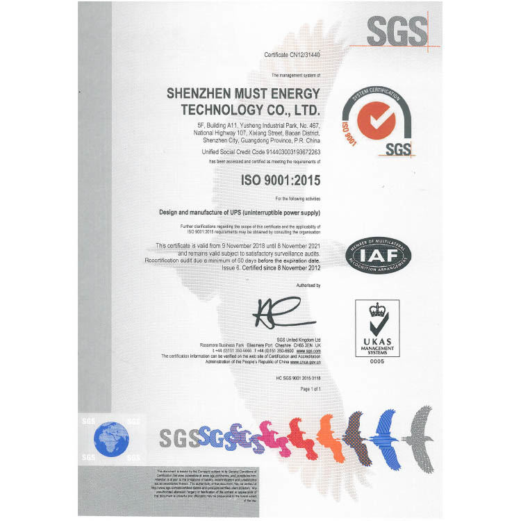 ISO 9001英文